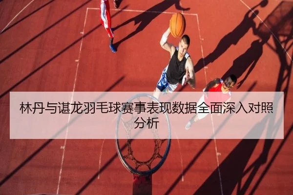 林丹与谌龙羽毛球赛事表现数据全面深入对照分析
